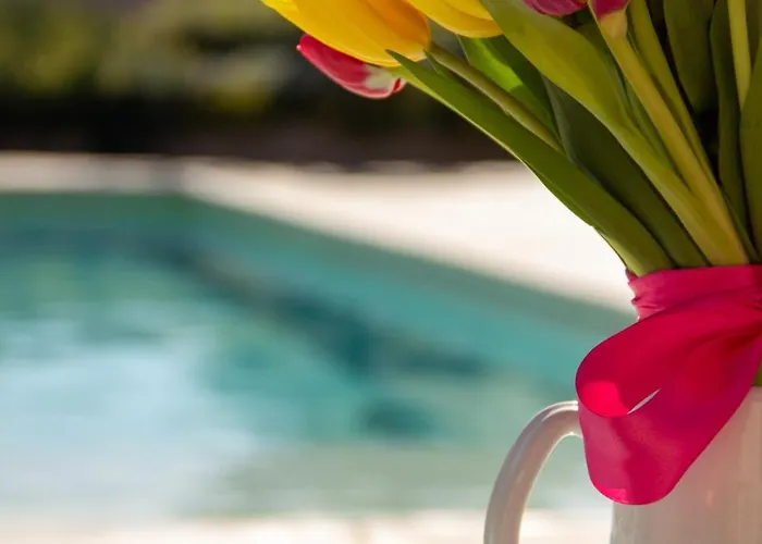 In Дом отдыха